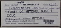 Image Associated With the Occurence